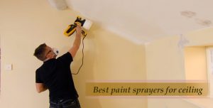 Best paint sprayers for ceiling